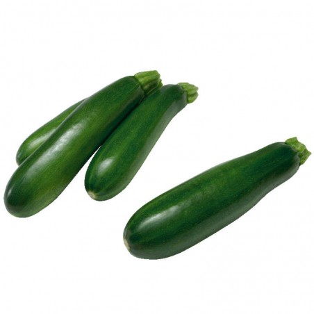 CASINO BIO Courgette Bio - ESPAGNE Cat2 1Kg