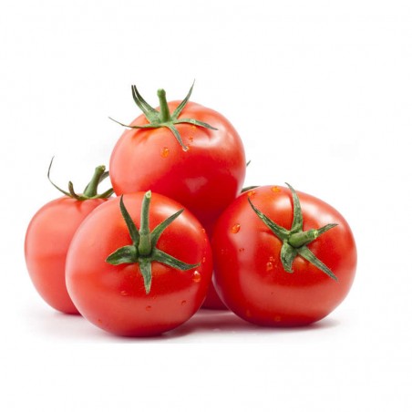 Tomates rondes Bio - ESPAGNE Cat2 1Kg